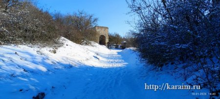 ���� �����